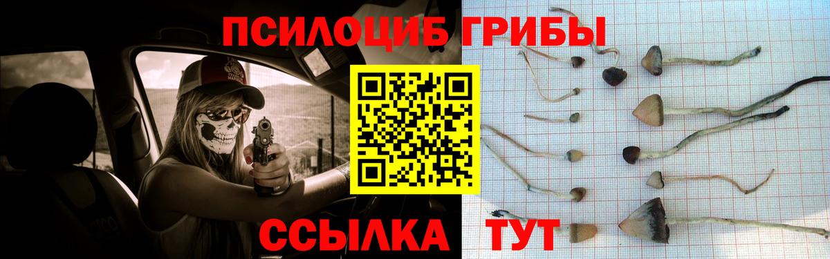 Псилоцибиновые грибы MAGIC MUSHROOMS  Вход с VPN  Псилоцибиновые грибы Psilocybe  закладка  Миасс 